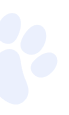 paw